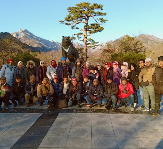 Korea Selatan Tour Grup