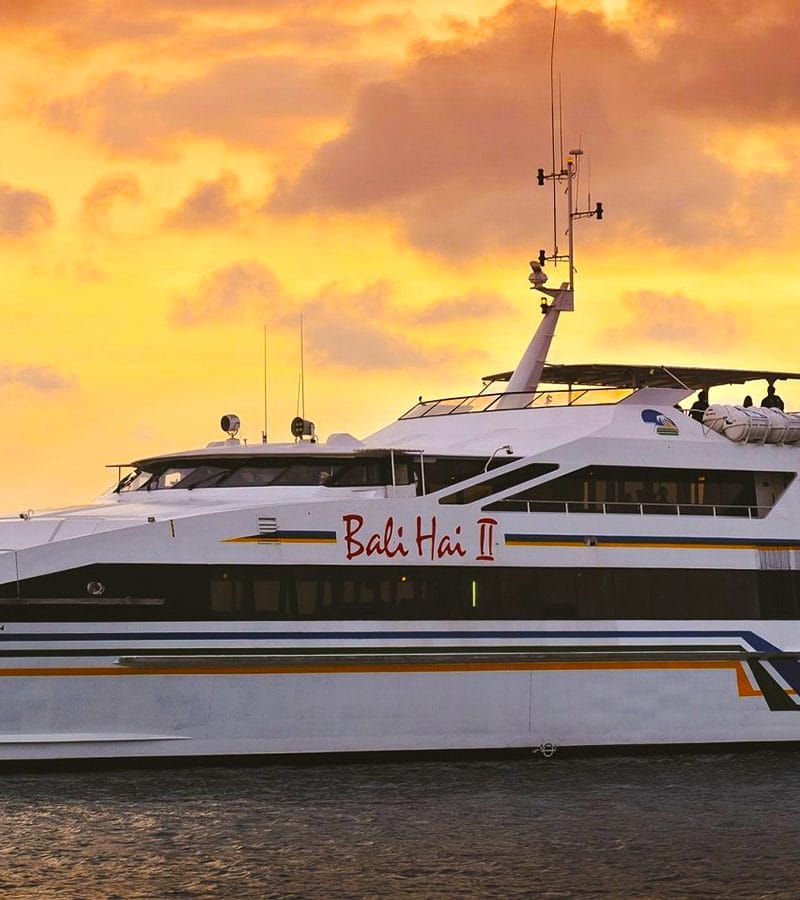 bali tour package cruise