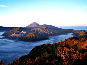 bromo tour package