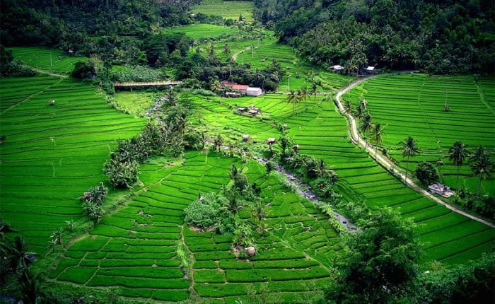 jakarta puncak bali holiday