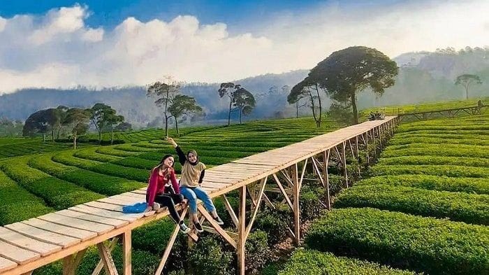 vacation to Puncak Bogor Indonesia