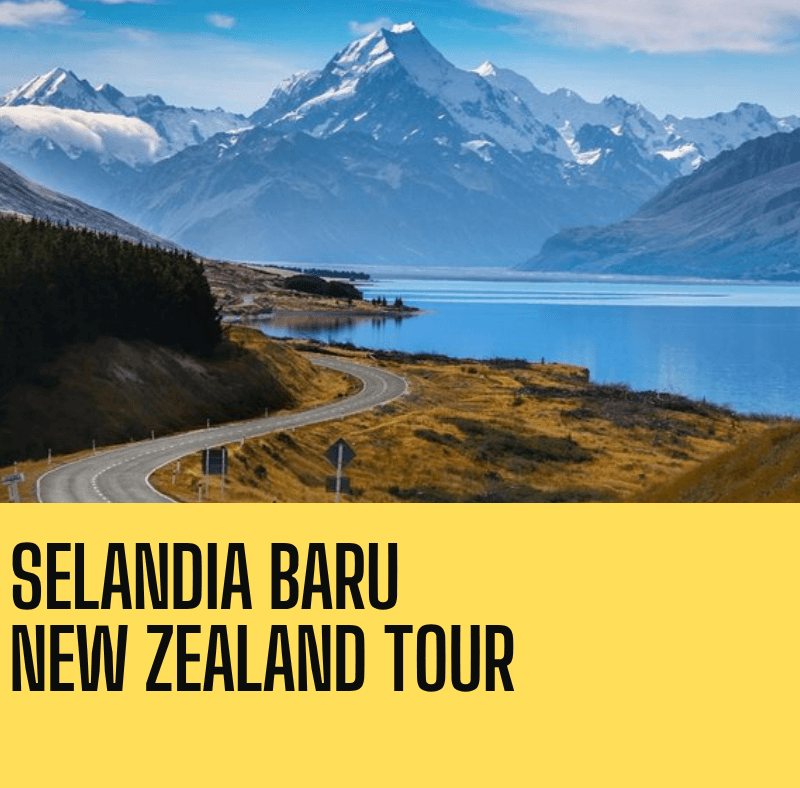 paket tour selandia baru